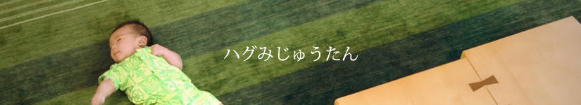 ハグみじゅうたん