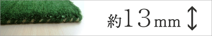 ハグみじゅうたん 正規取扱い店 埼玉県