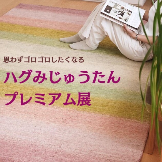 ハグみじゅんたん展