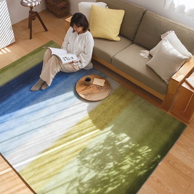 てざわりコレクションER6192 ハグみじゅうたん